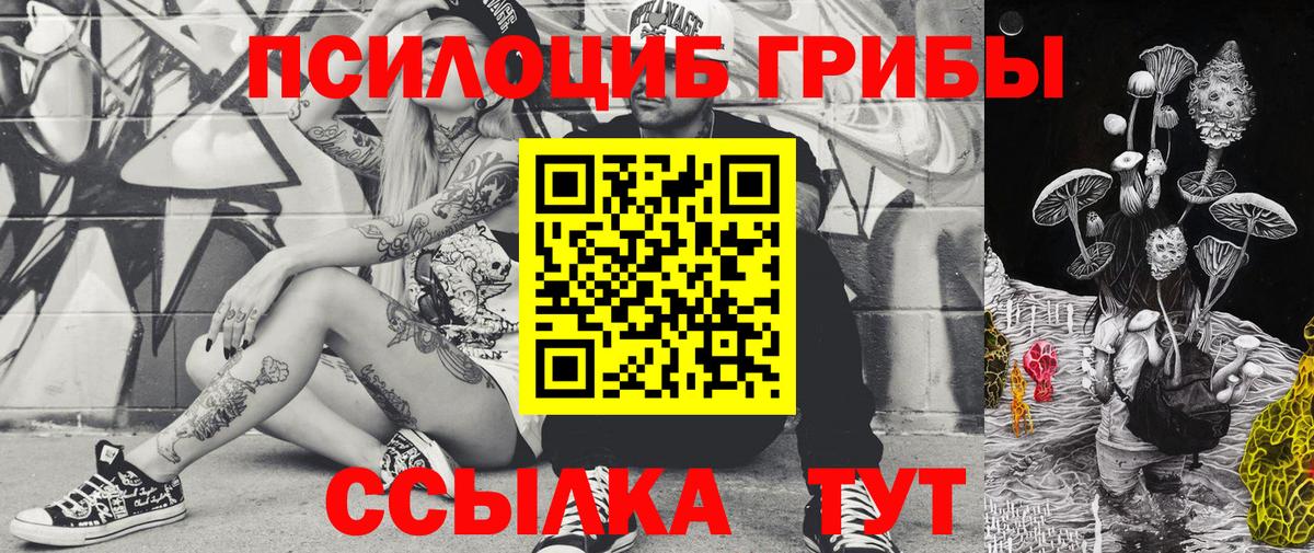 Псилоцибиновые грибы ЛСД  Псилоцибиновые грибы ЛСД  Переславль-Залесский  закладка  Вход с VPN 