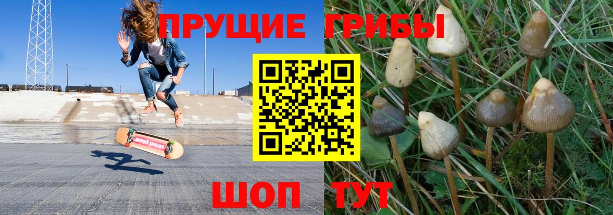 Галлюциногенные грибы GOLDEN TEACHER Переславль-Залесский